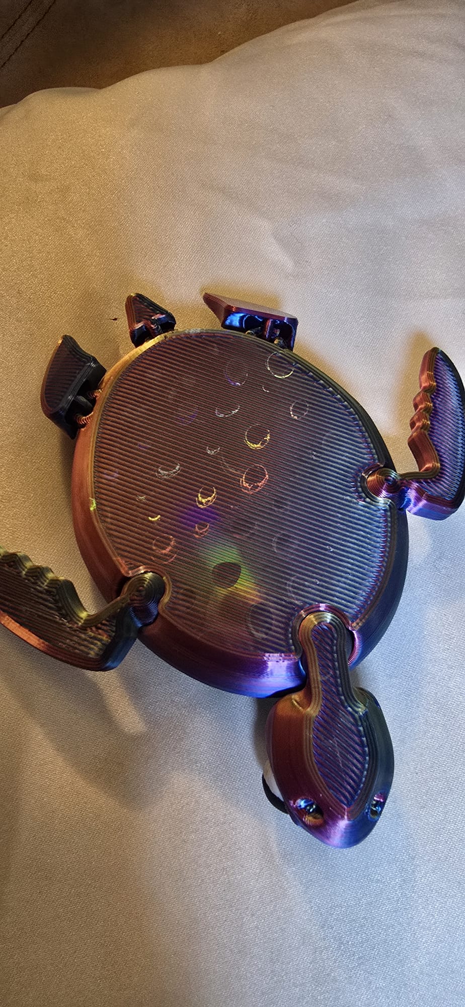 Pacific Fidget Turtle