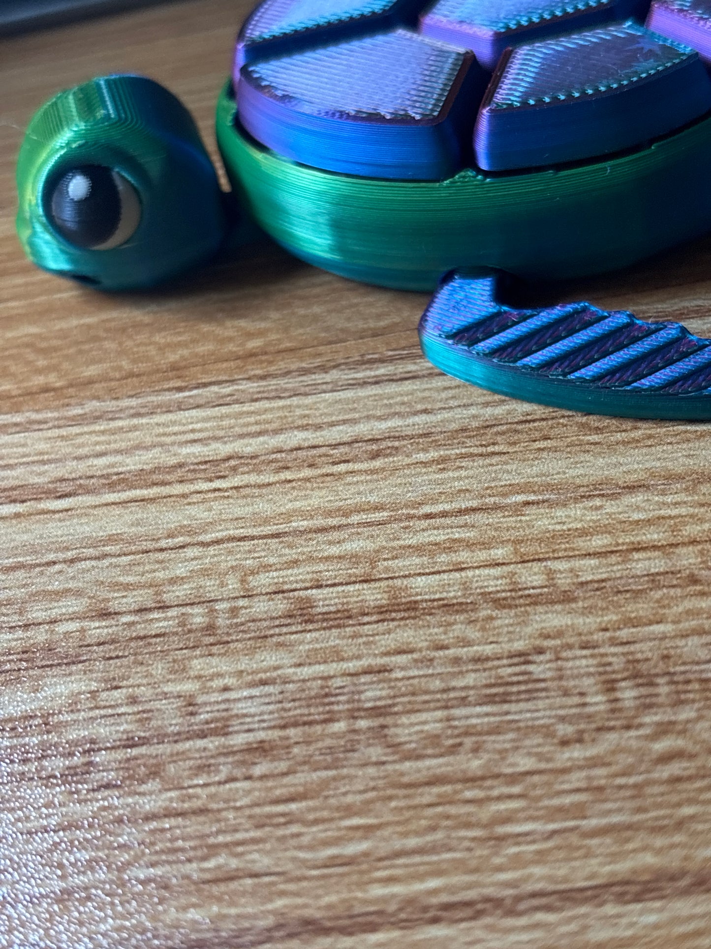 Starburst Fidget Turtle