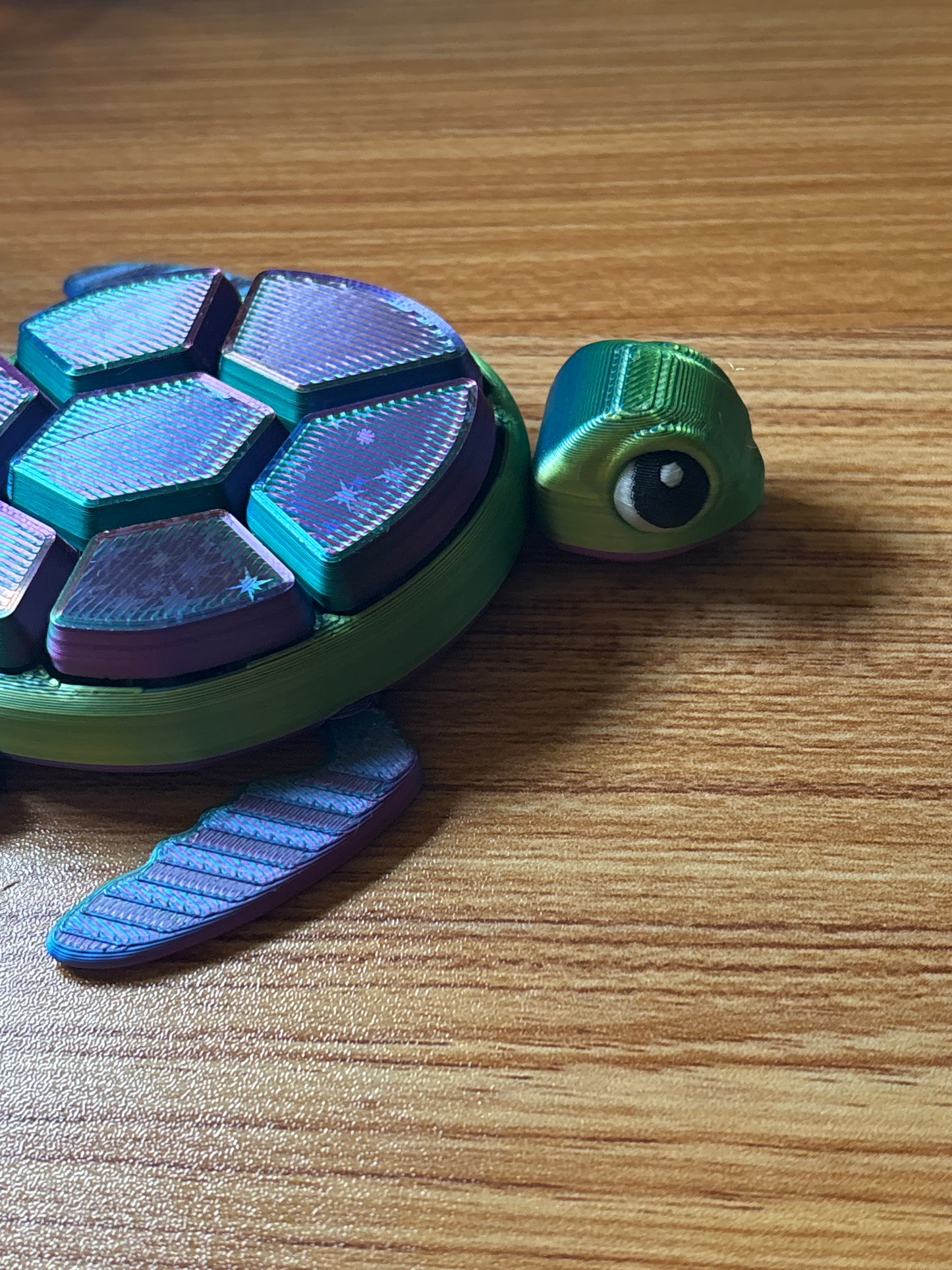 Starburst Fidget Turtle