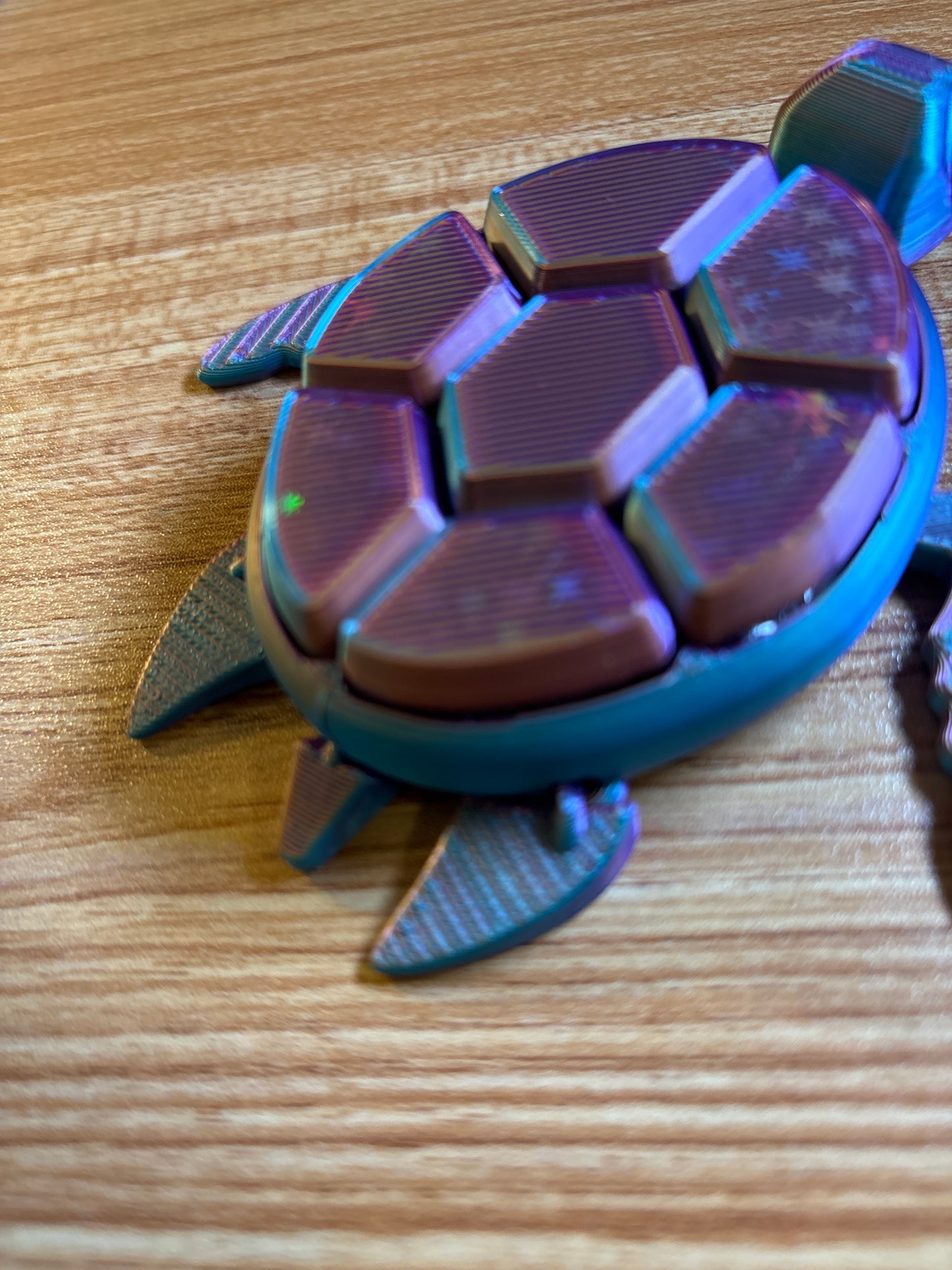Bubblegum Fidget Turtle