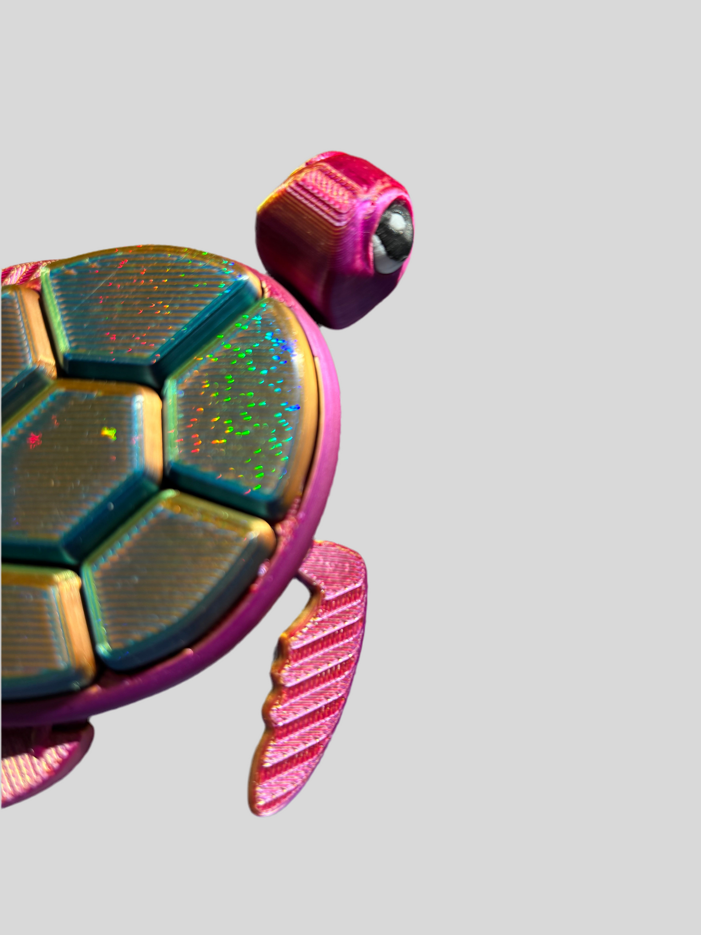 Mama Melon Fidget Turtle