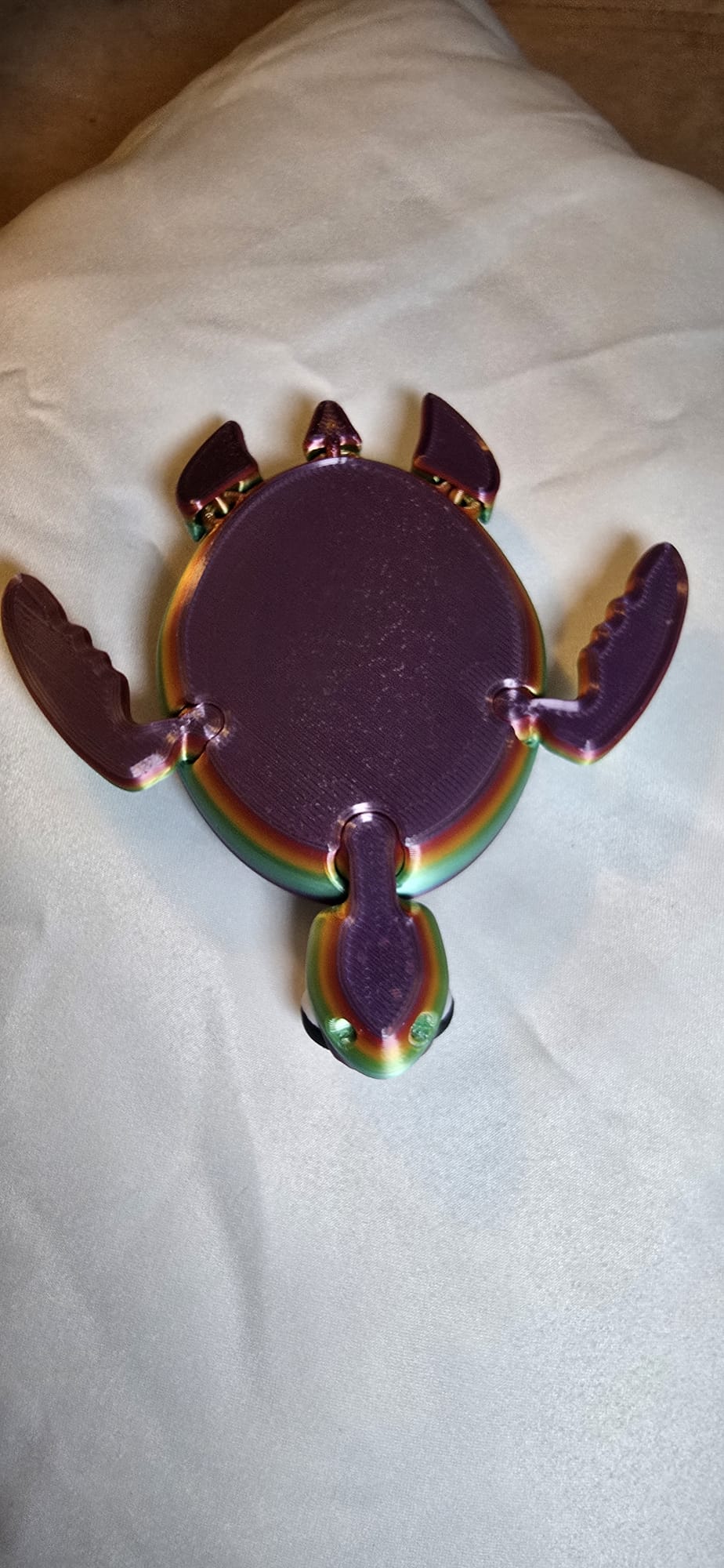 Pride Fidget Turtle