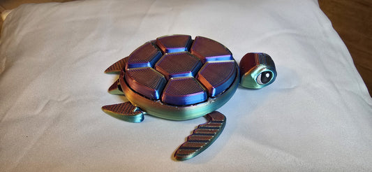 Pacific Fidget Turtle